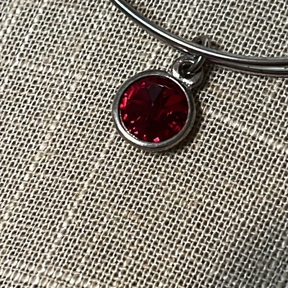 Alex & Ani January Birthstone Bracelet - Picture 4 of 6